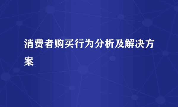 消费者购买行为分析及解决方案