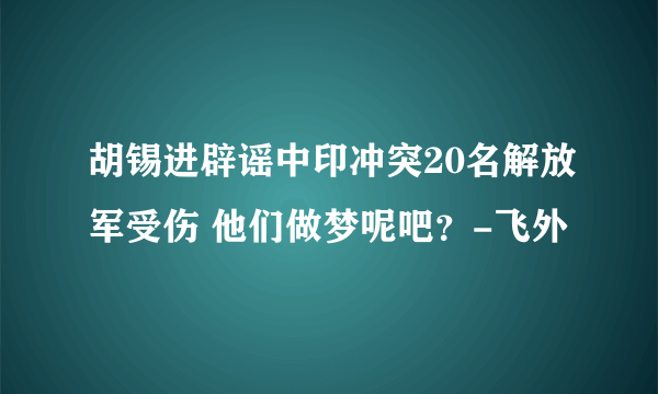 胡锡进辟谣中印冲突20名解放军受伤 他们做梦呢吧？-飞外