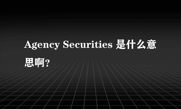 Agency Securities 是什么意思啊？