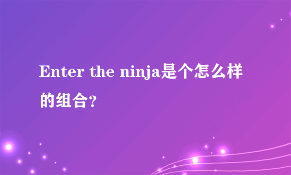 Enter the ninja是个怎么样的组合？