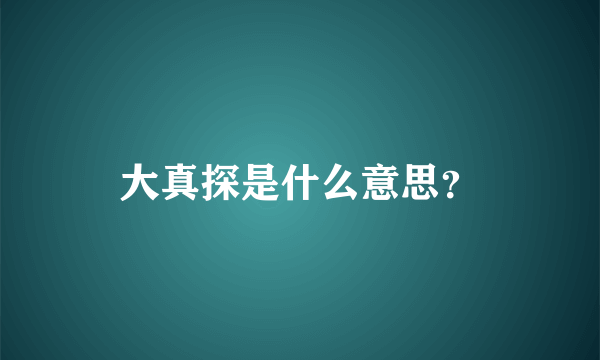 大真探是什么意思？