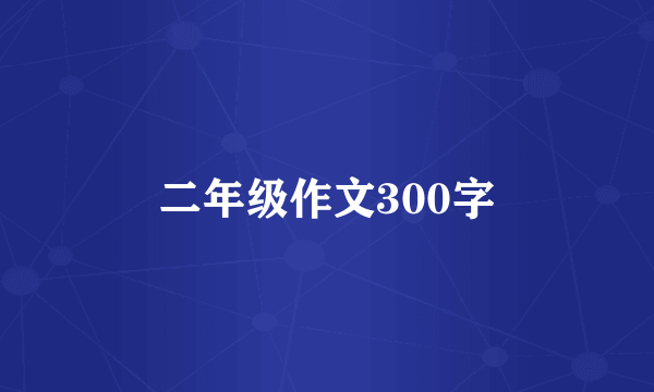 二年级作文300字