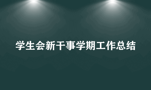 学生会新干事学期工作总结