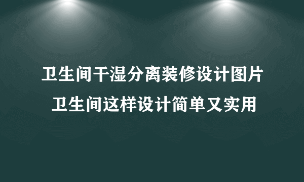 卫生间干湿分离装修设计图片  卫生间这样设计简单又实用