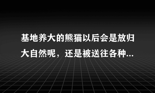 基地养大的熊猫以后会是放归大自然呢，还是被送往各种地方动物园或者是国家打工呢？