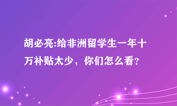 胡必亮:给非洲留学生一年十万补贴太少，你们怎么看？