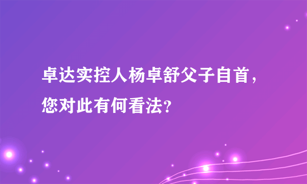 卓达实控人杨卓舒父子自首，您对此有何看法？