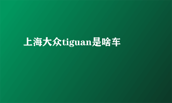 上海大众tiguan是啥车