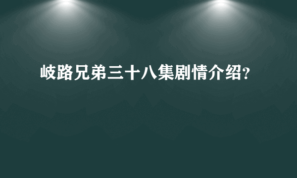 岐路兄弟三十八集剧情介绍？