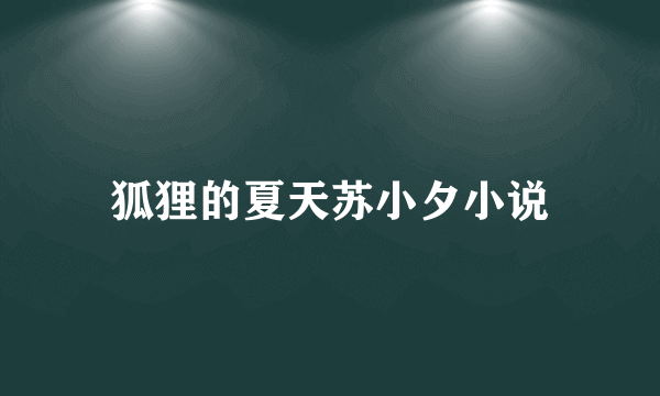 狐狸的夏天苏小夕小说