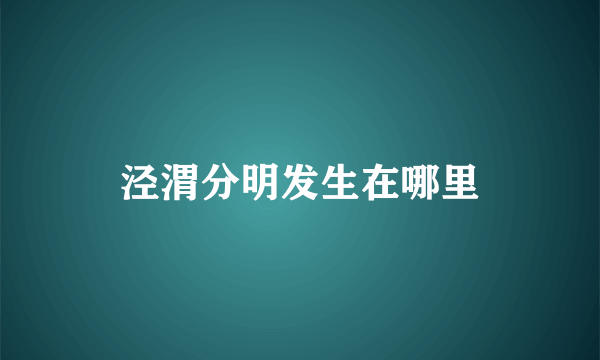 泾渭分明发生在哪里