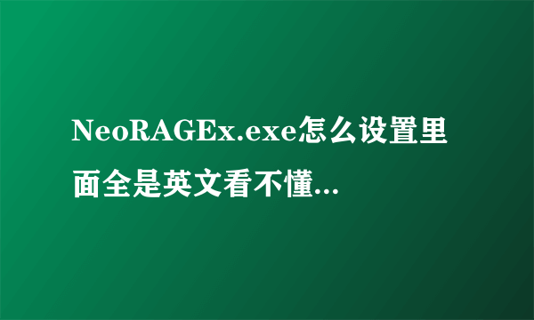 NeoRAGEx.exe怎么设置里面全是英文看不懂 我玩的是拳皇97