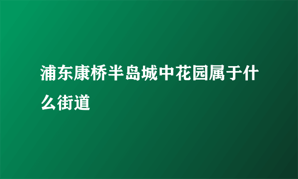 浦东康桥半岛城中花园属于什么街道