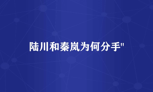 陆川和秦岚为何分手