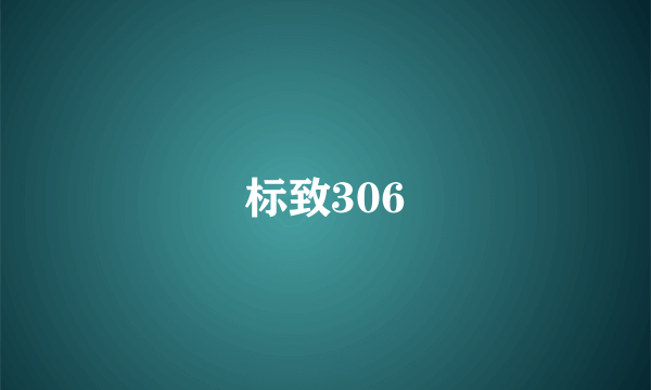 标致306