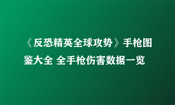 《反恐精英全球攻势》手枪图鉴大全 全手枪伤害数据一览