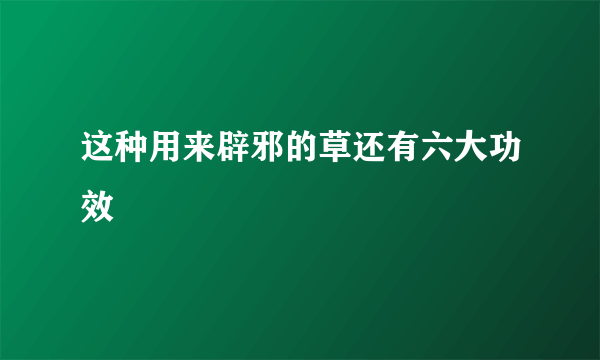 这种用来辟邪的草还有六大功效