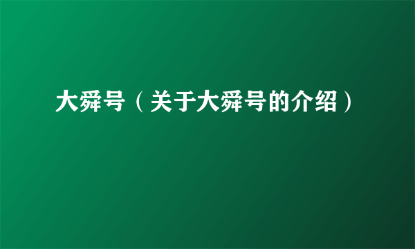 大舜号（关于大舜号的介绍）