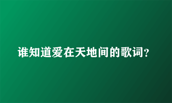 谁知道爱在天地间的歌词？