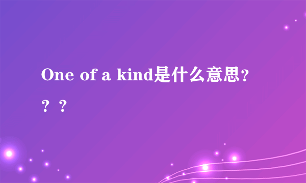 One of a kind是什么意思？？？