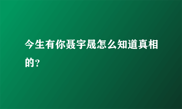 今生有你聂宇晟怎么知道真相的？