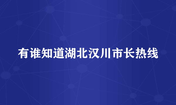 有谁知道湖北汉川市长热线