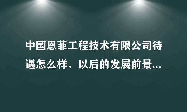 中国恩菲工程技术有限公司待遇怎么样，以后的发展前景如何呢？