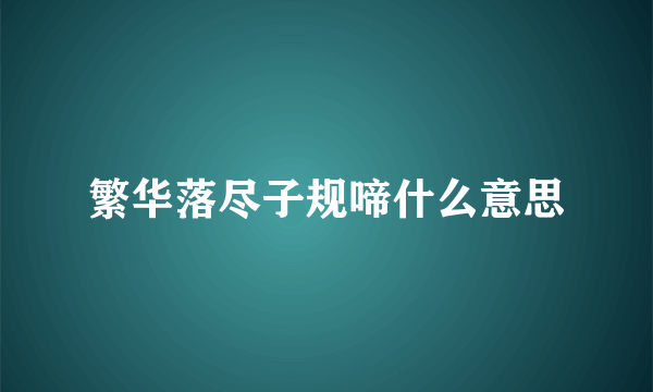 繁华落尽子规啼什么意思