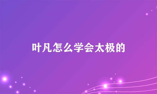 叶凡怎么学会太极的