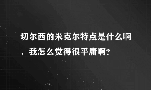 切尔西的米克尔特点是什么啊，我怎么觉得很平庸啊？