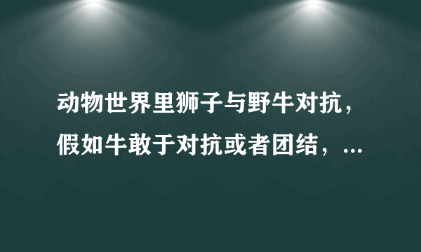 动物世界里狮子与野牛对抗，假如牛敢于对抗或者团结，狮子能赢吗？