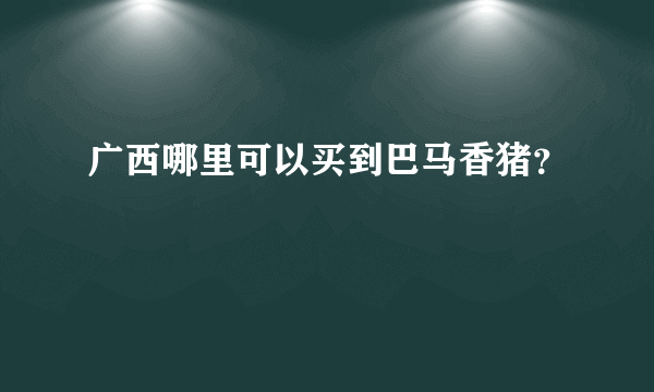 广西哪里可以买到巴马香猪？