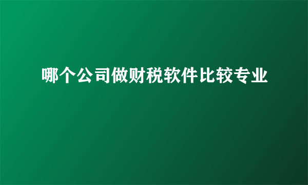 哪个公司做财税软件比较专业