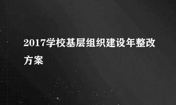 2017学校基层组织建设年整改方案