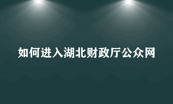 如何进入湖北财政厅公众网