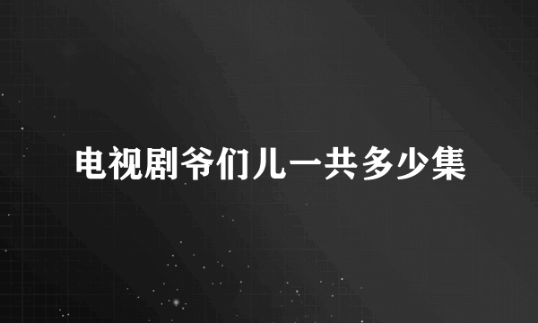 电视剧爷们儿一共多少集