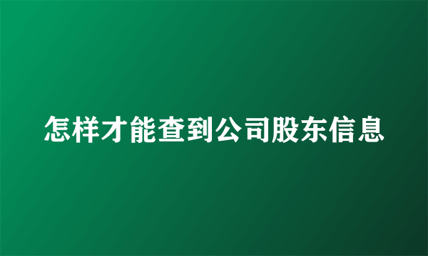 怎样才能查到公司股东信息