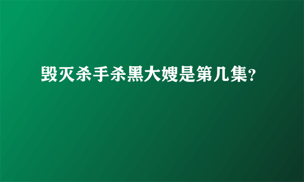 毁灭杀手杀黑大嫂是第几集？