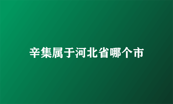 辛集属于河北省哪个市