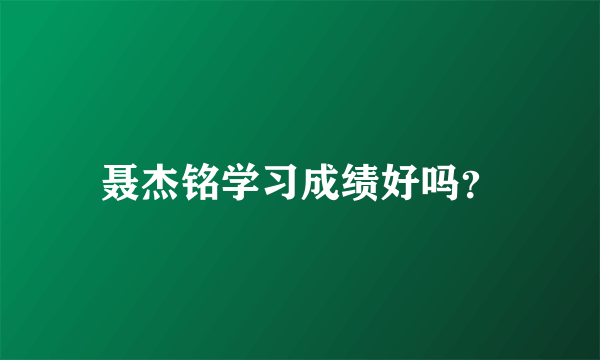 聂杰铭学习成绩好吗？