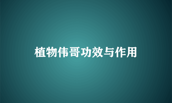 植物伟哥功效与作用