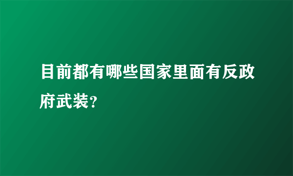 目前都有哪些国家里面有反政府武装？