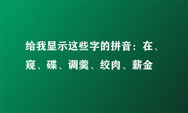 给我显示这些字的拼音：在、窥、碟、调羹、绞肉、薪金