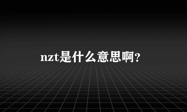 nzt是什么意思啊？