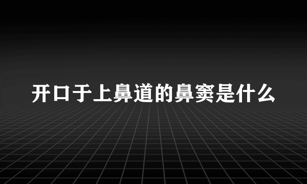 开口于上鼻道的鼻窦是什么