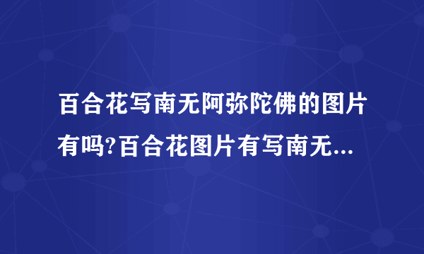 百合花写南无阿弥陀佛的图片有吗?百合花图片有写南无阿弥陀佛有吗？