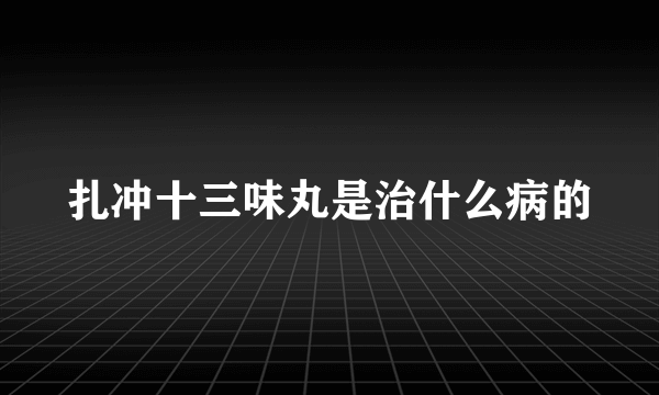 扎冲十三味丸是治什么病的