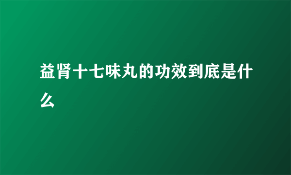 益肾十七味丸的功效到底是什么