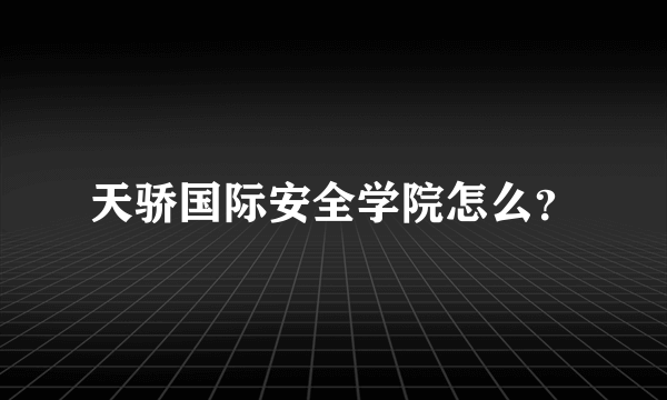 天骄国际安全学院怎么？