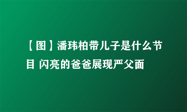 【图】潘玮柏带儿子是什么节目 闪亮的爸爸展现严父面